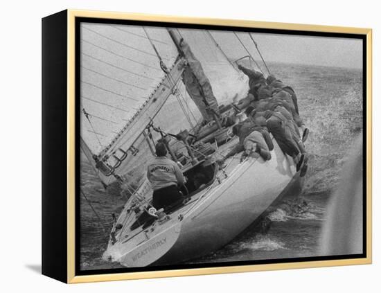 America's Cup Contender Weatherly Racing-null-Framed Premier Image Canvas