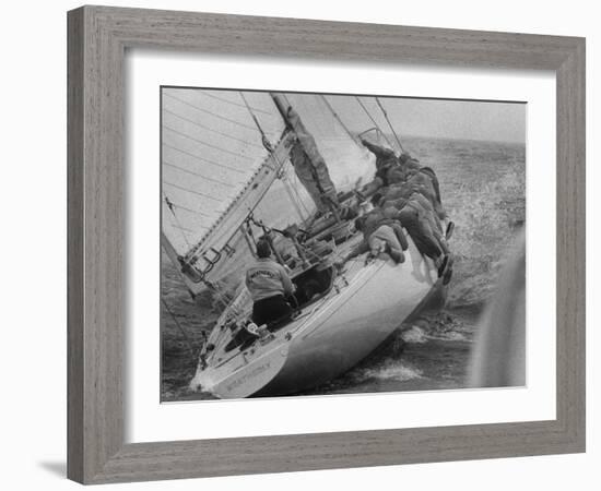 America's Cup Contender Weatherly Racing-null-Framed Photographic Print