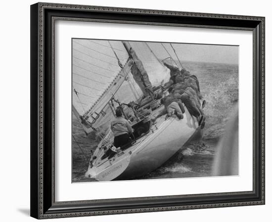 America's Cup Contender Weatherly Racing-null-Framed Photographic Print