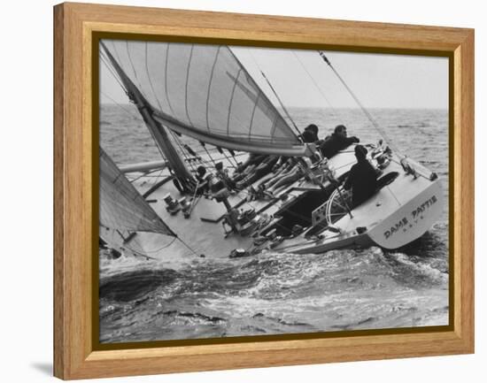 America's Cup Trials-null-Framed Premier Image Canvas