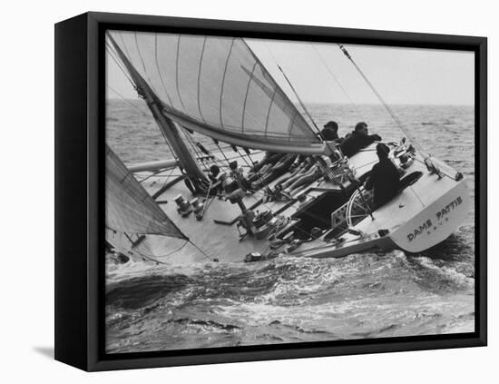 America's Cup Trials-null-Framed Premier Image Canvas