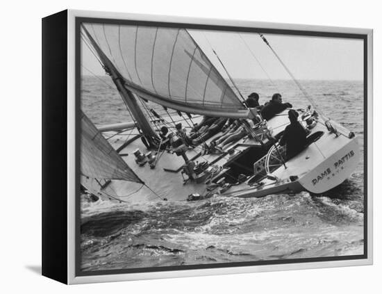 America's Cup Trials-null-Framed Premier Image Canvas