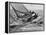 America's Cup Trials-null-Framed Premier Image Canvas