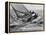 America's Cup Trials-null-Framed Premier Image Canvas