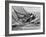 America's Cup Trials-null-Framed Photographic Print