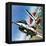 America's Deadly Dogfighter, the Yf - 16-Wilf Hardy-Framed Premier Image Canvas