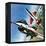 America's Deadly Dogfighter, the Yf - 16-Wilf Hardy-Framed Premier Image Canvas