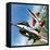 America's Deadly Dogfighter, the Yf - 16-Wilf Hardy-Framed Premier Image Canvas