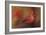 America's Favorite Red Bird-Jai Johnson-Framed Giclee Print