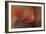 America's Favorite Red Bird-Jai Johnson-Framed Giclee Print