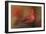 America's Favorite Red Bird-Jai Johnson-Framed Giclee Print