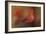 America's Favorite Red Bird-Jai Johnson-Framed Giclee Print