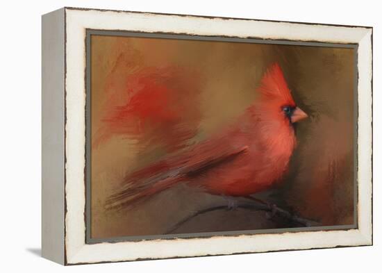 America's Favorite Red Bird-Jai Johnson-Framed Premier Image Canvas