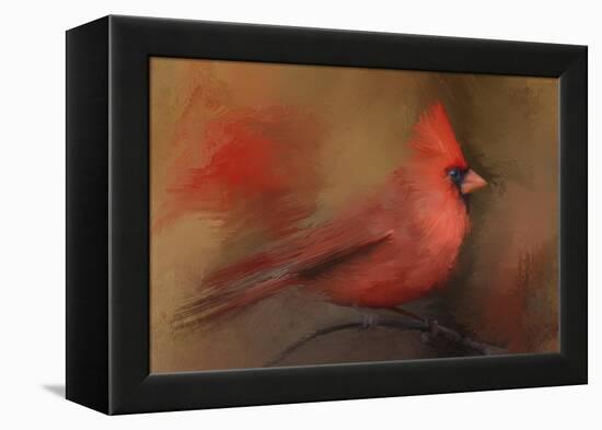 America's Favorite Red Bird-Jai Johnson-Framed Premier Image Canvas