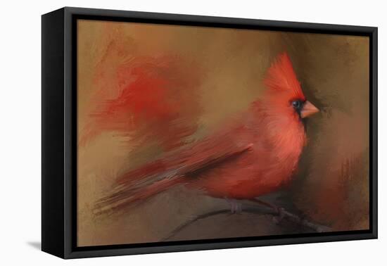 America's Favorite Red Bird-Jai Johnson-Framed Premier Image Canvas