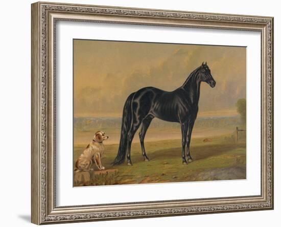 America’s Renowned Stallions, c. 1876 I-Vintage Reproduction-Framed Art Print