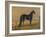 America’s Renowned Stallions, c. 1876 I-Vintage Reproduction-Framed Art Print