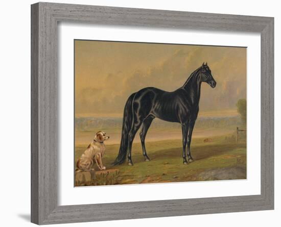 America’s Renowned Stallions, c. 1876 I-Vintage Reproduction-Framed Art Print