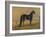 America’s Renowned Stallions, c. 1876 I-Vintage Reproduction-Framed Art Print