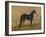 America’s Renowned Stallions, c. 1876 I-Vintage Reproduction-Framed Art Print