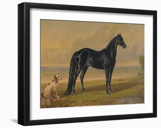 America’s Renowned Stallions, c. 1876 I-Vintage Reproduction-Framed Art Print