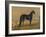 America’s Renowned Stallions, c. 1876 I-Vintage Reproduction-Framed Art Print