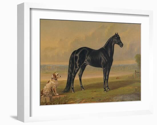 America’s Renowned Stallions, c. 1876 I-Vintage Reproduction-Framed Art Print