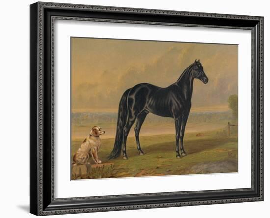 America’s Renowned Stallions, c. 1876 I-Vintage Reproduction-Framed Art Print