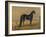 America’s Renowned Stallions, c. 1876 I-Vintage Reproduction-Framed Art Print