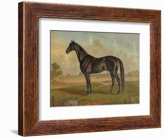 America’s Renowned Stallions, c. 1876 II-Vintage Reproduction-Framed Art Print