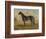 America’s Renowned Stallions, c. 1876 II-Vintage Reproduction-Framed Art Print