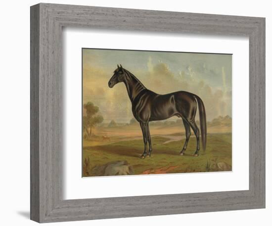 America’s Renowned Stallions, c. 1876 II-Vintage Reproduction-Framed Art Print