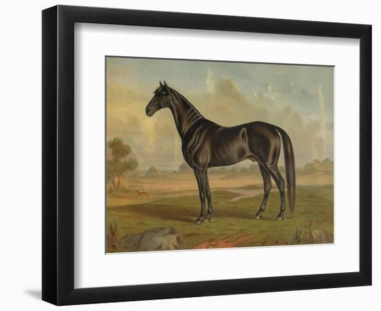 America’s Renowned Stallions, c. 1876 II-Vintage Reproduction-Framed Art Print