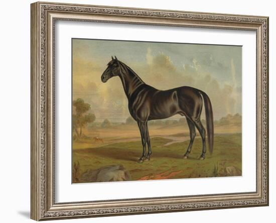 America’s Renowned Stallions, c. 1876 II-Vintage Reproduction-Framed Art Print