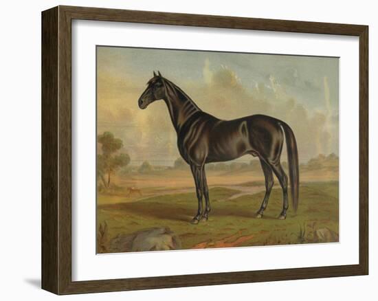 America’s Renowned Stallions, c. 1876 II-Vintage Reproduction-Framed Art Print