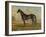 America’s Renowned Stallions, c. 1876 II-Vintage Reproduction-Framed Art Print