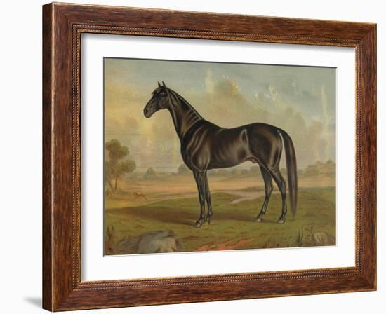 America’s Renowned Stallions, c. 1876 II-Vintage Reproduction-Framed Art Print