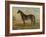 America’s Renowned Stallions, c. 1876 II-Vintage Reproduction-Framed Art Print