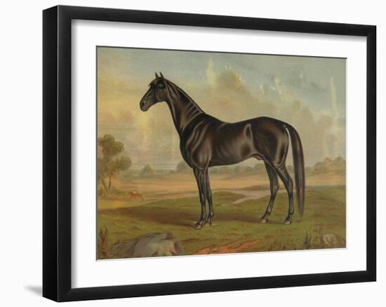 America’s Renowned Stallions, c. 1876 II-Vintage Reproduction-Framed Art Print