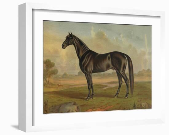 America’s Renowned Stallions, c. 1876 II-Vintage Reproduction-Framed Art Print