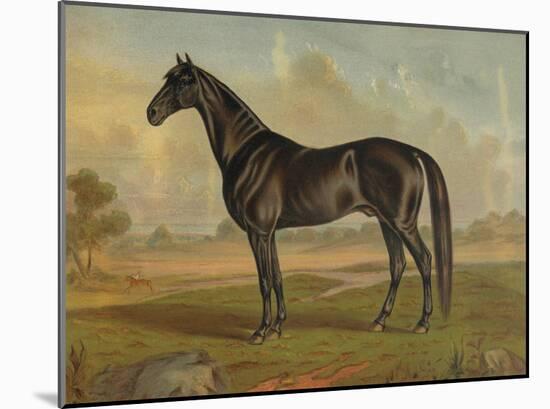 America’s Renowned Stallions, c. 1876 II-Vintage Reproduction-Mounted Art Print
