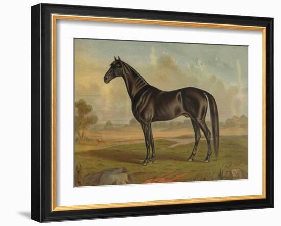 America’s Renowned Stallions, c. 1876 II-Vintage Reproduction-Framed Art Print