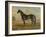America’s Renowned Stallions, c. 1876 II-Vintage Reproduction-Framed Art Print