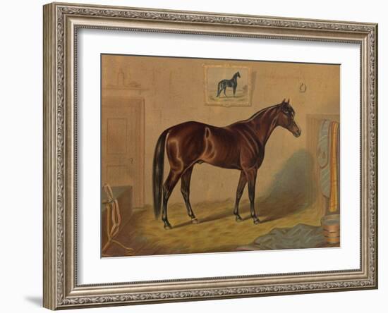 America’s Renowned Stallions, c. 1876 III-Vintage Reproduction-Framed Art Print