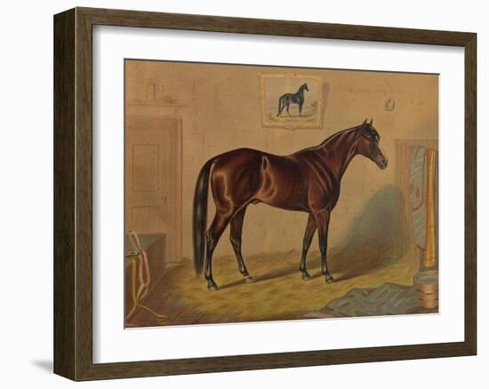 America’s Renowned Stallions, c. 1876 III-Vintage Reproduction-Framed Art Print