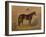 America’s Renowned Stallions, c. 1876 III-Vintage Reproduction-Framed Art Print