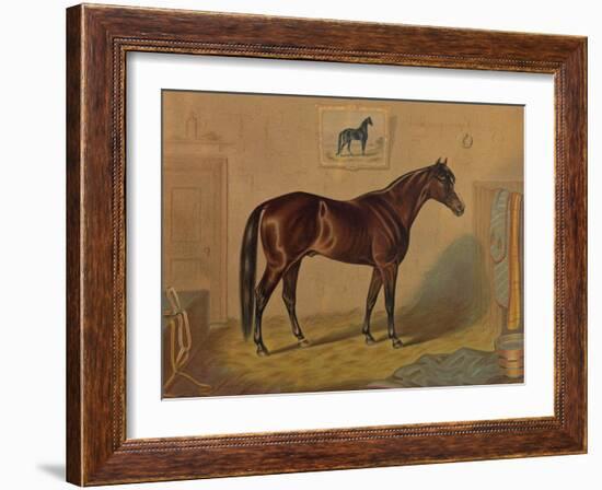 America’s Renowned Stallions, c. 1876 III-Vintage Reproduction-Framed Art Print