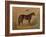 America’s Renowned Stallions, c. 1876 III-Vintage Reproduction-Framed Art Print