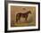 America’s Renowned Stallions, c. 1876 III-Vintage Reproduction-Framed Art Print