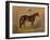 America’s Renowned Stallions, c. 1876 III-Vintage Reproduction-Framed Art Print